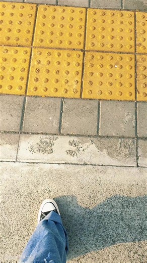 Chiayi Taiwan travel tips 24-hour guide