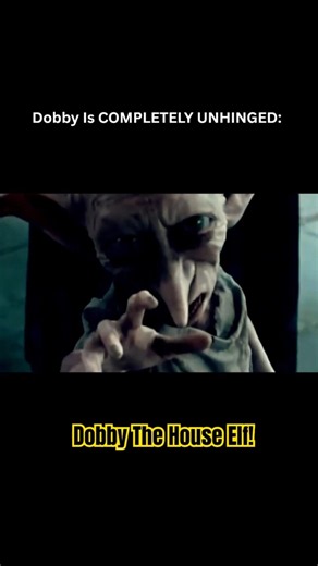Dobby is completely UNHINGED (Harry Potter Parody)
