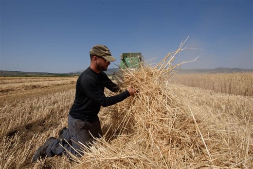 Israel signs grain deal with Azerbaijan, Uzbekistan to ‘ensure food security’ - i24NEWS