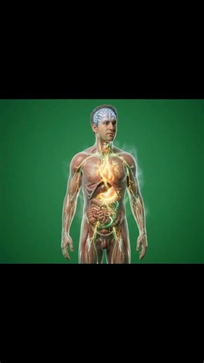 “The Hidden Journey of an Apple Inside the Human Body” #ai #viral #aiviral #aifit #aipure