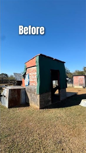 The Pig and Goat House Got a HUGE Upgrade!