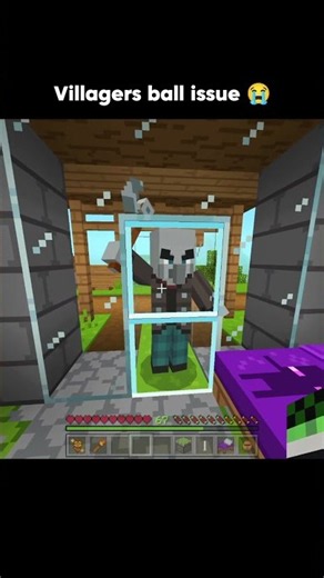 Villagers ball issue 😭