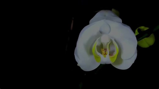 Exploring the Meaning Behind 'I'm Blue' by Eiffel 65