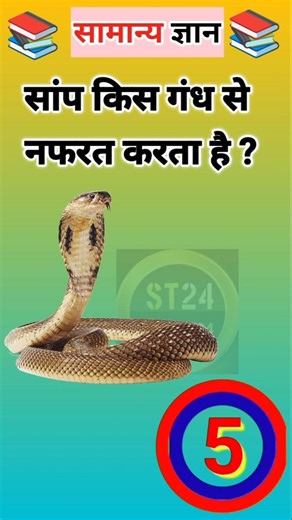 GK intresting question | Gk Question and answer # gkfacts #viral #gk #gkfacts #amazing #ytshorts