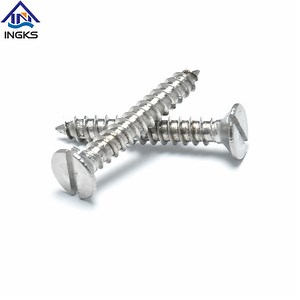 [Hot Item] DIN7972 Factory Price Stainless Steel 304 M2.2 M2.9 M3.5 M4.2 Csk Slotted Head Self Tapping Screws for Wood