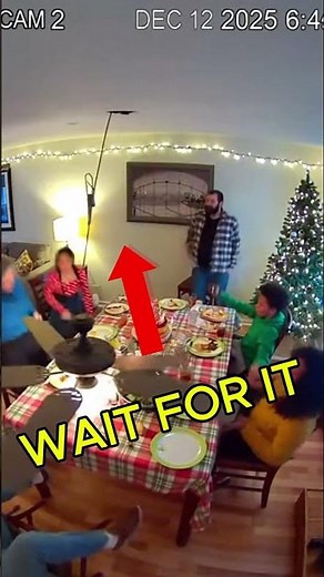 Security Cam Captures Ceiling Fan Falling on Family Dinner