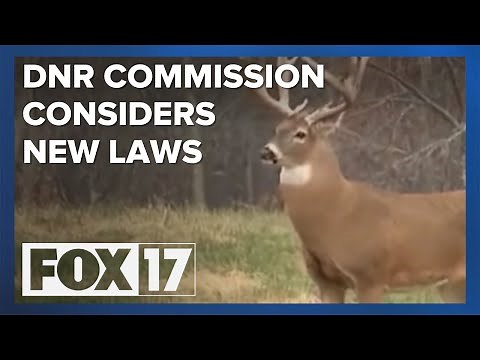 Michigan Natural Resources Commission to consider new deer hunting regulations