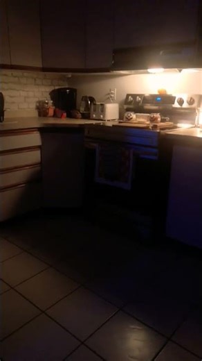 Baldi slapping his ruler