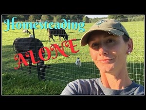 Homesteading ALONE~