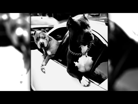 [FREE] Dark Boom Bap Type Beat - "CREEP"