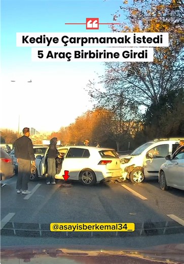 İstanbul’da yola çıkan kediye çarpmamak için fren yapan bir otomobile, arkasındaki hafif ticari araç çarptı. Aynı yönde seyir halinde olan araçların da birbirleriyle çarpışması sonucu 5 aracın karıştığı trafik kazası meydana geldi.
