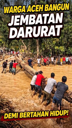 Akses Putus, Warga Aceh Tengah Kompak Bangun Jembatan Darurat #feedshorts #berbagiinfo #facts