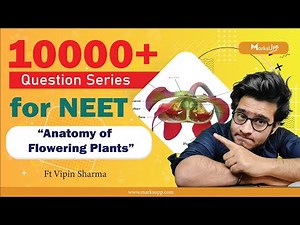 10000+ Questions Series for NEET | Anatomy of Flowering Plants | NCERT Based Question Practice