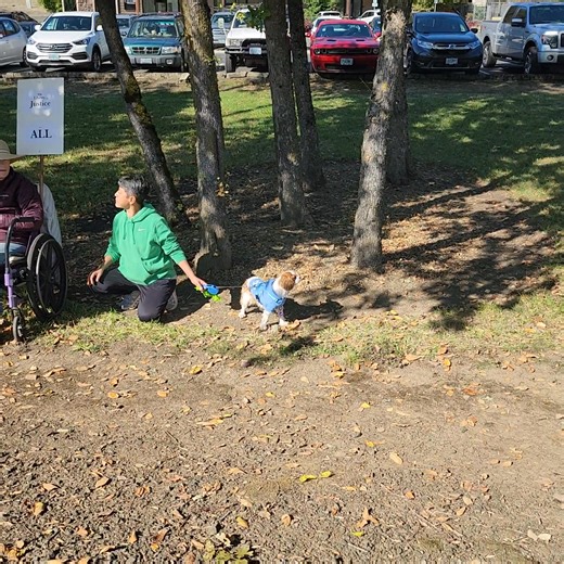 7K views · 256 reactions | Roseburg Oregon "No Kings" protest today. Haven't heard the count of those attending yet, but there were a lot. | Patrog Plasma | Facebook