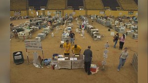 LSU Veterinary Medicine reflects on how it helped rescue displaced pets during Hurricane Katrina