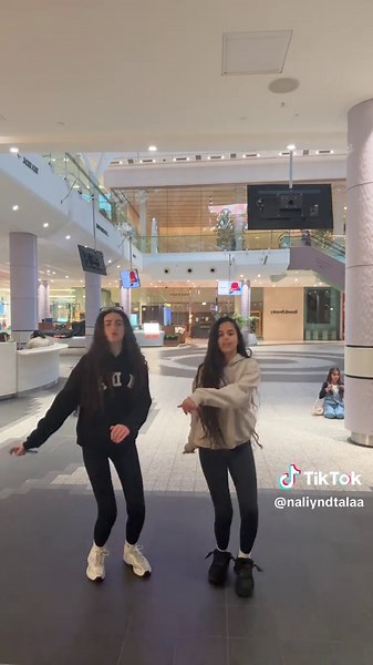 Twins Perform Viral 2-Person Dance Challenge