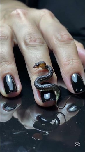 Snake, Scorpion & Ladybug Nail Transformation 🐍🦂🐞 | Satisfying Magic Nails,Episode 7