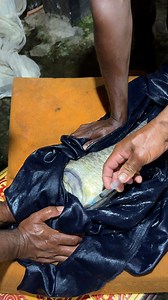 Fish Injection Time #reels | Extreme Fish World