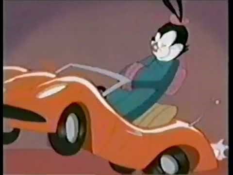 Animaniacs- Nickelodeon Weekdays Promo (2001)