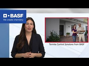 Termidor® termite solutions from BASF