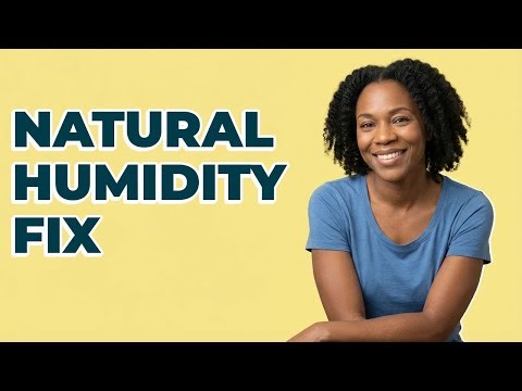 What Household Items Naturally Control Air Moisture?