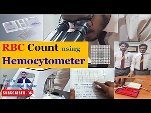 Red Blood Cell (RBC) Count using Hemocytometer | Neubauer chamber | #hematology #practical