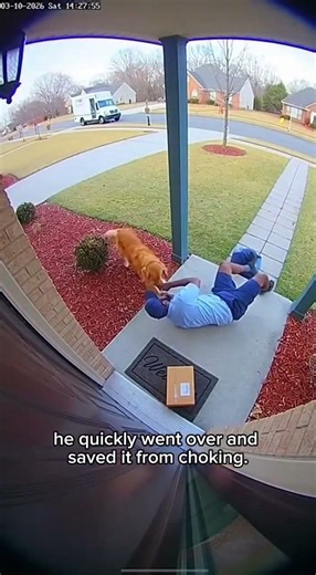 Brave Mailman saved a dog choking on a ball