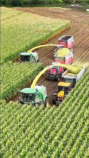 Two John Deere 9900i forage harvesters working together #silage #johndeere9900i