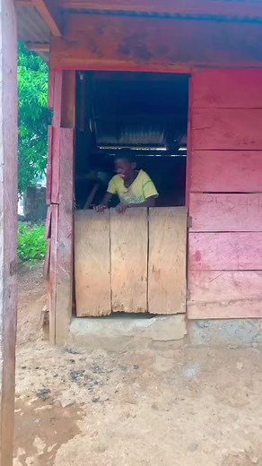 283K views · 13K reactions | Funeral food wahala..  … 62 packaged food got missing 凉 #thinktwice1957tv #demandandsupply | Demand And Supply | Facebook