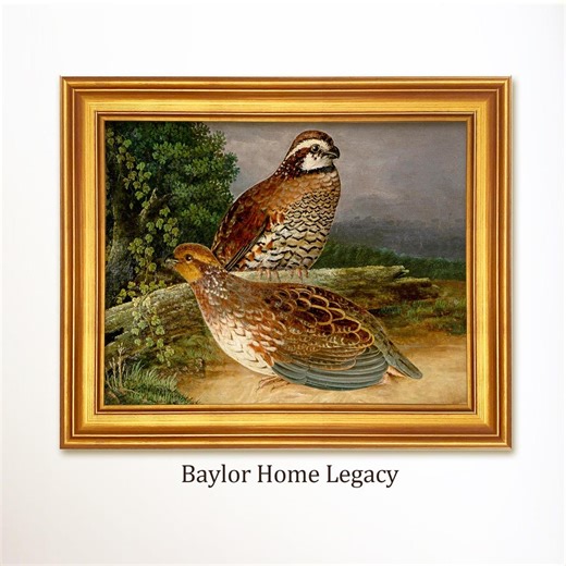 Framed Bobwhite Quail Oil Painting Print on Canvas of an Antique Oil Painting, Wildlife Bird Art, Male and Female Quail - Etsy