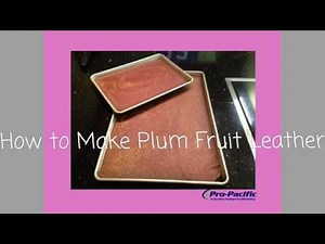 Recipe: How to Make Plum Fruit Leather