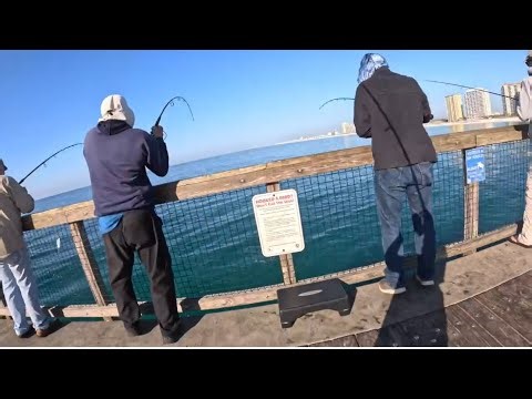 ￼ Navarre Beach pier catching ￼￼Bonita￼ march 12￼