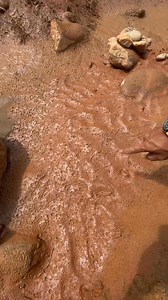 Red mud containing large amounts of gold dust #goldhunter #goldmining #goldrush #goldprospecting | Gold Discovery Armin