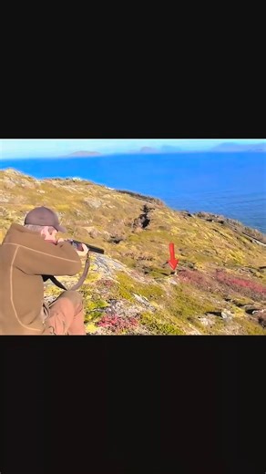 ultra rabbit perfect shot in green mountains hills#hunting #wildlife #rabbit#shortsfeed#nature#viral