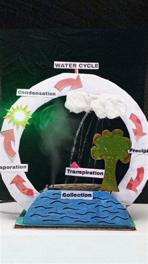Water Cycle Model ! 1st Prize Winning Science Project #schoolproject #shorts #diy #shortvideo