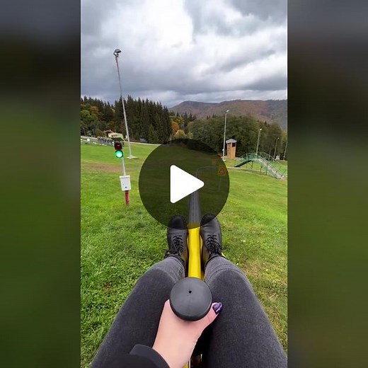 Exploring Alpine Slides: Where to Try Them and What to Expect