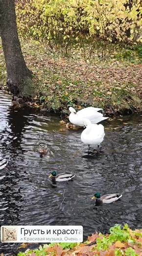 Ludmila Chichell on Reels