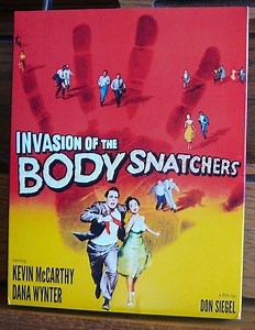 The Ten Best Home Video Releases of 2024