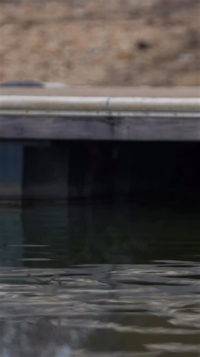 All wrapped up with practice on Martin. Been a decent week but we got to catch some good ones. Ounces is going to separate a lot of people this week. It’s all about who can have the best average size fish. Going out boat number 2 tomorrow! See y’all at blastoff 👊🏼 #thecutline #bassmasterelite #bassmaster #fishing #outdoors | Drew Cook Fishing