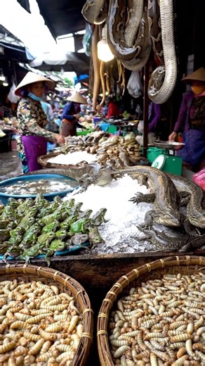 Eating The World's WILDEST Street Food (You Won't Believe This)