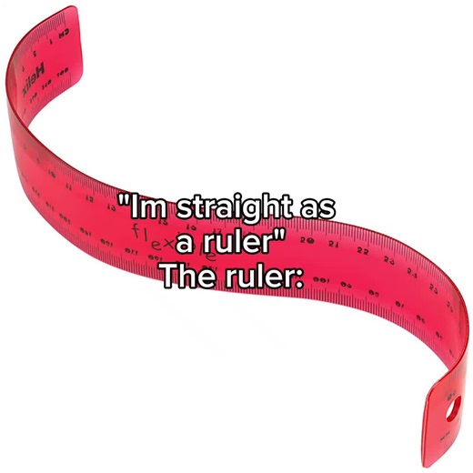 Relatable School Meme About Flexible Ruler