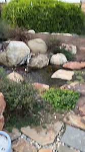 Here's the rainwater capture routine we go through to make sure we get clean, pure rainwater, as close to it as possible. By the way, how to set an ENTIRE rainwater capture system up from scratch is available in Kevin's new book, Epic Homesteading, which will be out Spring 2024. Signed copies ship with a free pack of seeds from Botanical Interests Seed. | All About Gardening