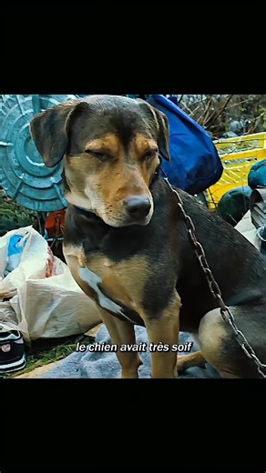 #movie #filmclips #fyp #cinema