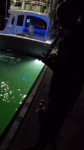 "Aw, guys you made me ink" - Nemo 🦑 #squid #kellyyoung #catches | Kelly Young