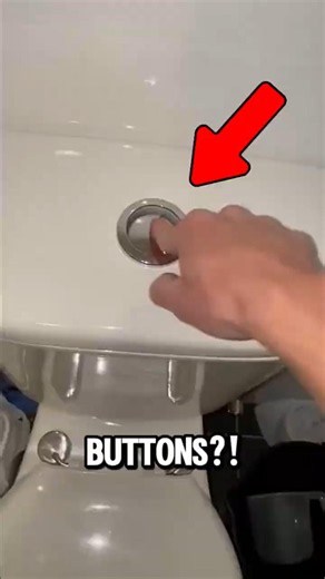 You're Using the WRONG Flush Button! 🚽 Here's What the Two Buttons Really Do #shorts