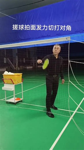 Badminton Trick Shots 8 #badminton #fyp #viral