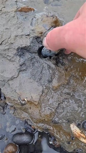 Exploring 18th Century Artefacts: A Summer Evening Mudlark on the River Thames