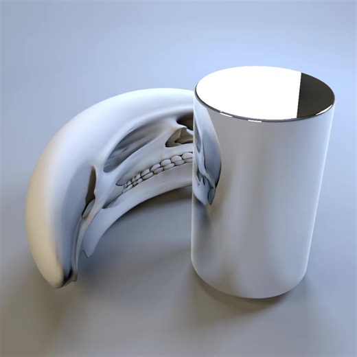 3D anamorphic skull made with principles of projective geometry #reflection #halloween #projectivegeometry #anamorphicart #trippy #skull #3dart #anamorphic | Beau Janzen