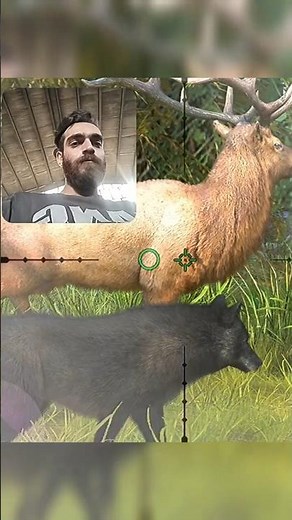 Ultimate Hunting Clash Gameplay: Epic Adventures Await! 🎮🌲