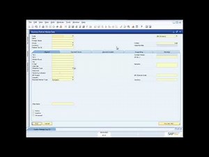 An Overview of the SAP Business One 8.8 User Interface